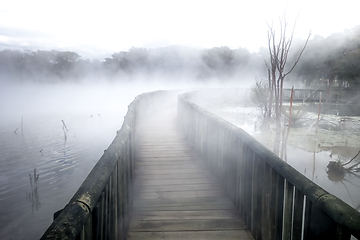 Image showing Bridge on a misty lake in Rotorua, New Zealand