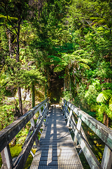 Image showing Bridge on a river. Abel Tasman National Park, New Zealand