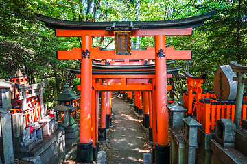 Image showing Fushimi Inari Taisha torii, Kyoto, Japan