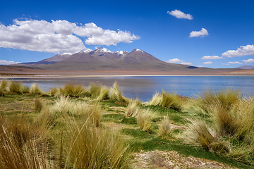 Image showing Altiplano laguna in sud Lipez reserva, Bolivia