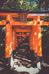 Image showing Fushimi Inari Taisha torii, Kyoto, Japan