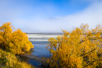 Image showing Yellow forest and river in New Zealand mountains