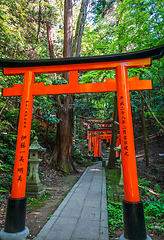 Image showing Fushimi Inari Taisha torii, Kyoto, Japan