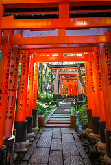 Image showing Fushimi Inari Taisha torii, Kyoto, Japan