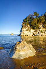 Image showing Creek at sunset in Abel Tasman National Park, New Zealand