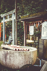 Image showing Purification fountain at shoren-in temple, Kyoto, Japan