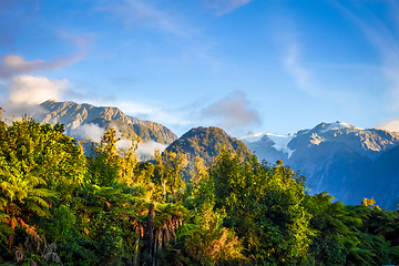 Image showing Franz Josef glacier and rain forest, New Zealand