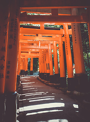 Image showing Fushimi Inari Taisha torii, Kyoto, Japan