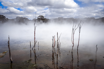 Image showing Misty lake and forest in Rotorua, New Zealand