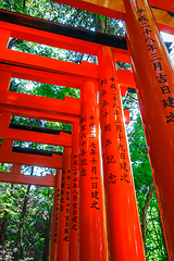 Image showing Fushimi Inari Taisha torii, Kyoto, Japan