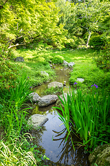 Image showing Maruyama japanese garden, Kyoto, Japan