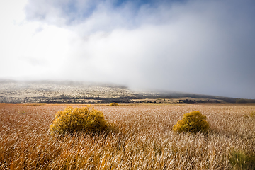 Image showing Mountain fields landscape in New Zealand