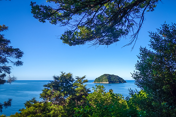 Image showing Track view in Abel Tasman National Park, New Zealand