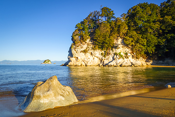 Image showing Creek at sunset in Abel Tasman National Park, New Zealand