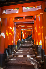 Image showing Fushimi Inari Taisha torii, Kyoto, Japan