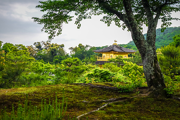 Image showing Kinkaku-ji golden temple, Kyoto, Japan