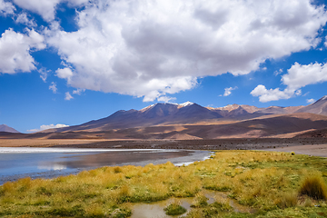 Image showing Altiplano laguna in sud Lipez reserva, Bolivia