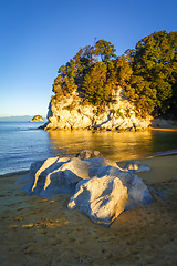 Image showing Creek at sunset in Abel Tasman National Park, New Zealand