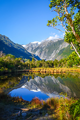 Image showing Franz Josef glacier and lake, New Zealand