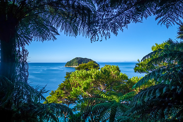 Image showing Track view in Abel Tasman National Park, New Zealand