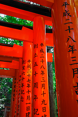 Image showing Fushimi Inari Taisha torii, Kyoto, Japan