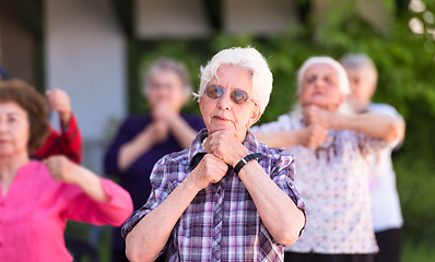 Image showing senior woman exercising with friends