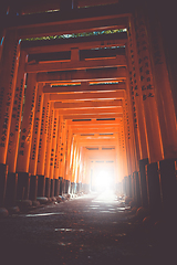 Image showing Fushimi Inari Taisha torii, Kyoto, Japan