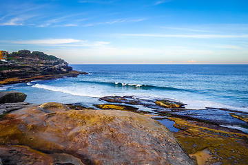 Image showing Tamarama Beach, Sidney, Australia