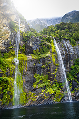 Image showing Waterfall in Milford Sound lake, New Zealand