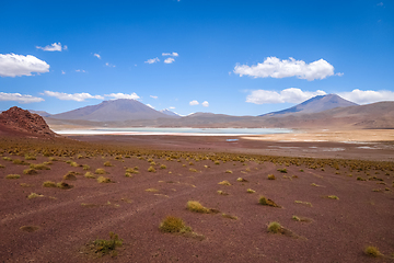Image showing Laguna Honda in sud Lipez Altiplano reserva, Bolivia
