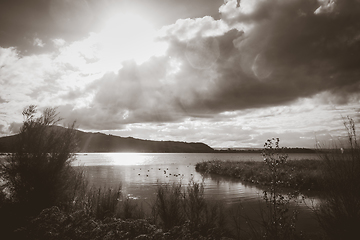 Image showing Rotorua lake, New Zealand. Black and white picture