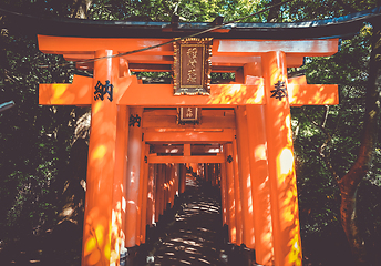 Image showing Fushimi Inari Taisha torii, Kyoto, Japan