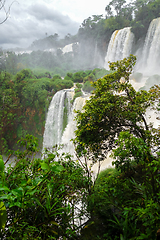 Image showing iguazu falls