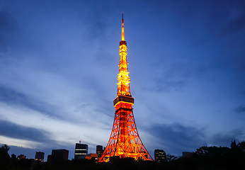 Image showing Tokyo tower at night, Japan