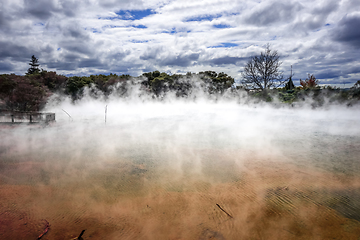 Image showing Hot springs lake in Rotorua, New Zealand