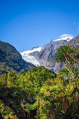 Image showing Franz Josef glacier and rain forest, New Zealand