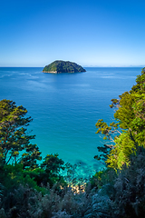Image showing Track view in Abel Tasman National Park, New Zealand