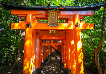 Image showing Fushimi Inari Taisha torii, Kyoto, Japan