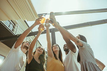 Image showing Young group of friends drinking beer and celebrating together