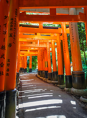 Image showing Fushimi Inari Taisha torii, Kyoto, Japan