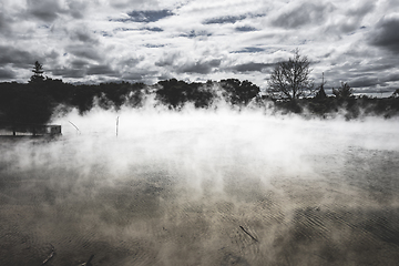 Image showing Misty lake and forest in Rotorua, New Zealand