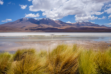 Image showing Laguna Honda in sud Lipez Altiplano reserva, Bolivia