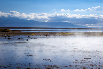 Image showing Lake in sol de manana geothermal field, sud Lipez reserva, Boliv