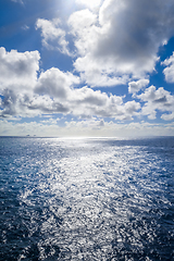 Image showing Pacific ocean seascape, New Zealand