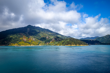 Image showing Marlborough Sounds, New Zealand