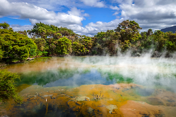 Image showing Hot springs lake in Rotorua, New Zealand