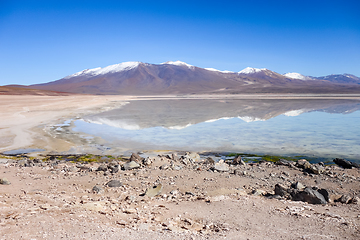 Image showing Clear altiplano laguna in sud Lipez reserva, Bolivia