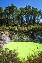 Image showing Green lake in Waiotapu, Rotorua, New Zealand