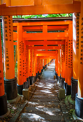 Image showing Fushimi Inari Taisha torii, Kyoto, Japan