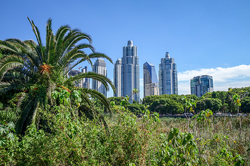 Image showing Buenos Aires, view from Costanera Sur ecological reserve